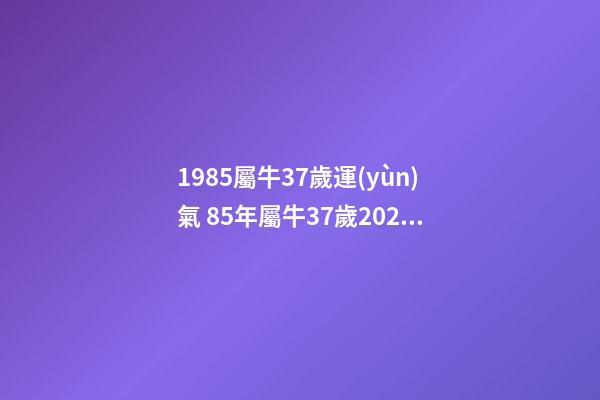 1985屬牛37歲運(yùn)氣 85年屬牛37歲2022劫難 1985屬牛的一生命運(yùn)